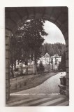 RF204 - Carte Postala - Borsec, circulata 1968