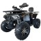 Atv 200cc Tao Shark Fourcraft 4T benzina 10&amp;quot; Negru