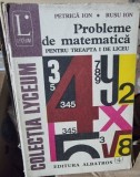 Probleme Matematica Treapta I Liceu - Petrica Ion, Albatros 1976, 463 Pagini. Carte Matematica Uzata