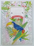 EXOTIC BIRDS , COLOUR BY NUMBERS by DAISY SEAL , 2016