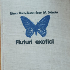 Fluturi exotici - Elena Bărbulescu, Ioan M. Stanoiu