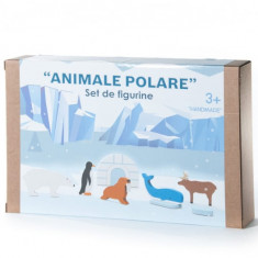 Set Animale Polare