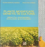 Plante modificate genetic in cultura Paun Ion Otiman, Elena Marcela Badea