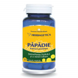 Cumpara ieftin Papadie Extract, 30 capsule, Herbagetica