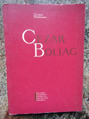 OVIDIU PAPADIMA - CEZAR BOLIAC foto