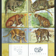 Argentina 2001 Mi 2665/70 klb MNH - Pisici native, feline, fauna, animale