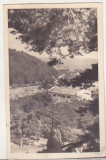Bnk cp Calimanesti - Vedere - uzata 1955, Circulata, Printata