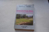 Sarmizegetusa Regia. Capitala Daciei preromane - Ioan Glodariu, Eugen Iaroslavschi, Adrina Rusu-Pescaru, Florin Stanescu