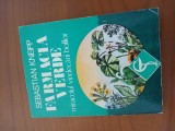 Farmacia Verde Miracolul Vindecării Bolilor