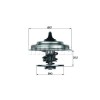 Mahle termostat, lichid racire Behr