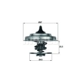 Mahle termostat, lichid racire Behr