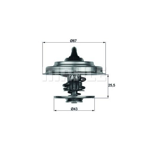 Mahle termostat, lichid racire Behr