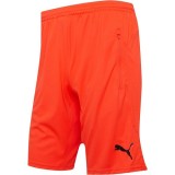 Pantaloni Scurti Barbati Puma DryCell, 4 Culori, Buzunare cu Fermoar, Poliester, Marimi S-2XL