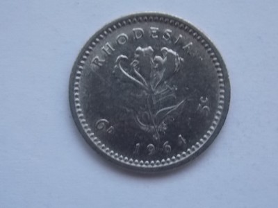 5 CENTS 1964 RHODESIA foto