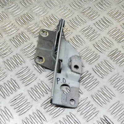 Balama capota dreapta față NISSAN PATHFINDER III R51 2006 13798764 foto