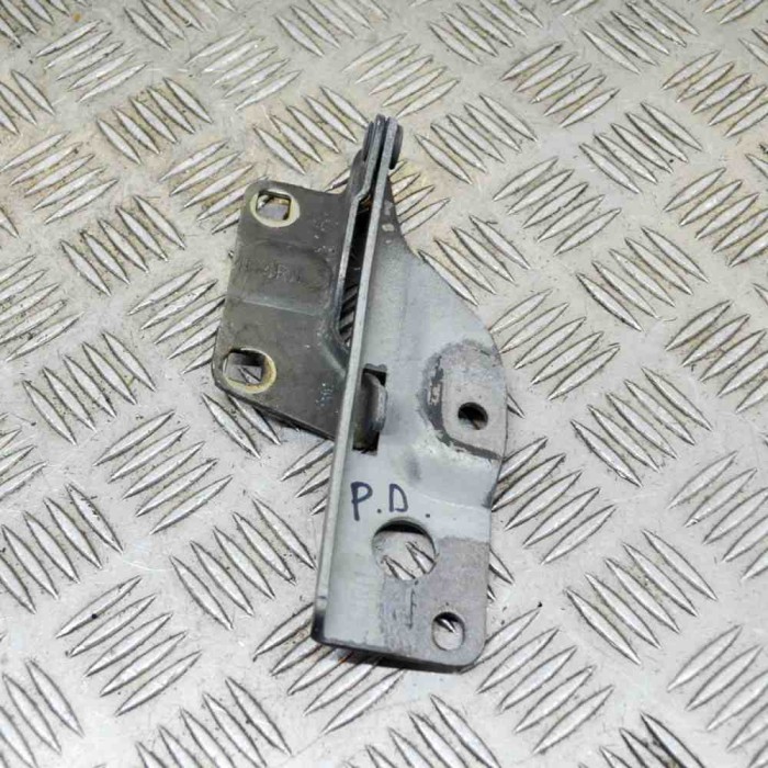 Balama capota dreapta față NISSAN PATHFINDER III R51 2006 13798764