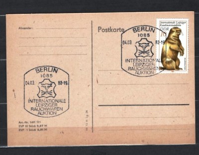 GERMANIA (DDR) 1982 - FAUNA. MARMOTA. CARTE POSTALA MAXIMA, Y10 foto