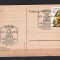 GERMANIA (DDR) 1982 - FAUNA. MARMOTA. CARTE POSTALA MAXIMA, Y10