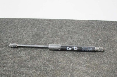 Amortizor haion dreapta TESLA MODEL 3 2018 OEM: 1091560-00-B 11207330 foto