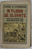 IN PLOAIA DE GLOANTE , NOTE DIN CARNETUL CAMPANIEI 1916-1918 de GENERAL A.I. STOENESCU , 1919 , CONTINE HARTI
