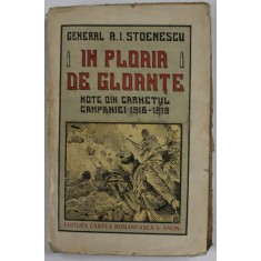 IN PLOAIA DE GLOANTE , NOTE DIN CARNETUL CAMPANIEI 1916-1918 de GENERAL A.I. STOENESCU , 1919 , CONTINE HARTI