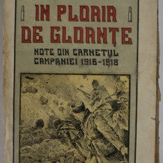 IN PLOAIA DE GLOANTE , NOTE DIN CARNETUL CAMPANIEI 1916-1918 de GENERAL A.I. STOENESCU , 1919 , CONTINE HARTI