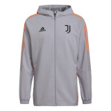 Juventus Torino geacă de bărbați cu glugă presentation grey - XL, Adidas