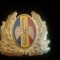 QW14 - Emblema militara / cuc - aviatie - anii 1990 - piesa de colectie