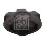 Febi Bilstein buson, vas expansiune