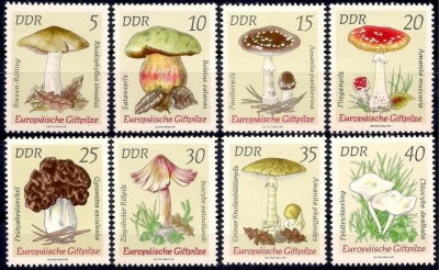 DDR 1974 - Ciuperci, serie neuzata foto