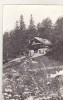 Bnk cp Muntii Bucegi - Cabana Poiana Stanii - circulata, Sinaia, Printata