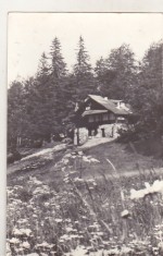 bnk cp Muntii Bucegi - Cabana Poiana Stanii - circulata