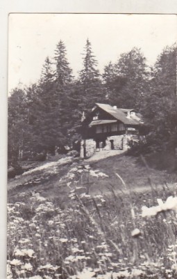 bnk cp Muntii Bucegi - Cabana Poiana Stanii - circulata foto