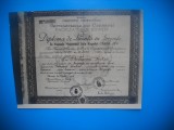 HOPCT 454 V DIPLOMA LICENTA GEOGRAFIE 1931 CERNAUTI -FOTOGRAFIE VECHE TIP CP-RO, Romania de la 1950, Sepia, Portrete