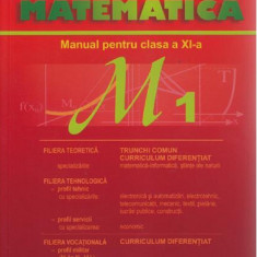 Matematica M1 - Manual pentru clasa a XI-a | Marius Burtea, Georgeta Burtea