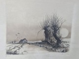 Tablou Gravură Udo Nolte, Peisaje, Grisaille, Realism