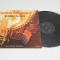 Ramon Tavernier / Cătălin T&icirc;rcolea &ndash; Panpipe In Jazz - disc vinil vinyl LP
