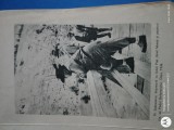 reproduceri fotografii cu MIHAI SADOVEANU
