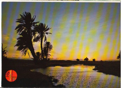 CPIB 16650 CARTE POSTLA - MAROC. CREPUSCUL foto