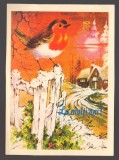 CPIB 24594 CARTE POSTALA - FELICITARE DE ANUL NOU : PEISAJ DE IARNA, PASARE, SCRISA SI NECIRCULATA, 1997