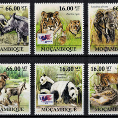 MOZAMBIC 2011 - Fauna diversa /serie completa MNH