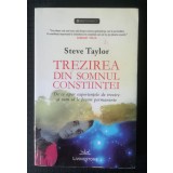 Steve Taylor - Trezirea din somnul conștiinței (2011)