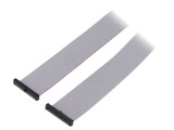 Cablu panglică SAMTEC IDC 609,6mm FFSD-20-D-24.00-01-N cu conectori IDC ambele părți
