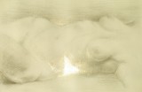 Sp2a. Grafica realizata in tehnica varf de aur - Tors de femeie - Arte Plastice, Nud, Grisaille, Realism, RavariuArt