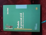 Probele &icirc;n procesul civil cărți de drept