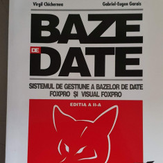 VIRGIL CHICHERNEA - Baze de date