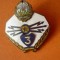 INSIGNA MILITARA TRANSMISIUNI CLASA 3