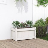 Cumpara ieftin Jardinieră de grădină, alb, 60x31x31 cm, lemn masiv de pin