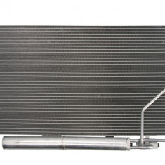 Condensator / Radiator aer conditionat MERCEDES CLK Cabriolet (A209) (2003 - 2010) THERMOTEC KTT110273