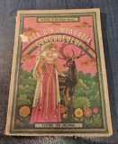 Fata din imparatia curcubeului George Niculescu Mizil ilustratii Iacob Desideriu